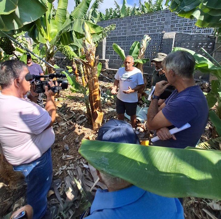 ASPA celebra la Jornada Técnica Cultivo de Plataneras en ecológico