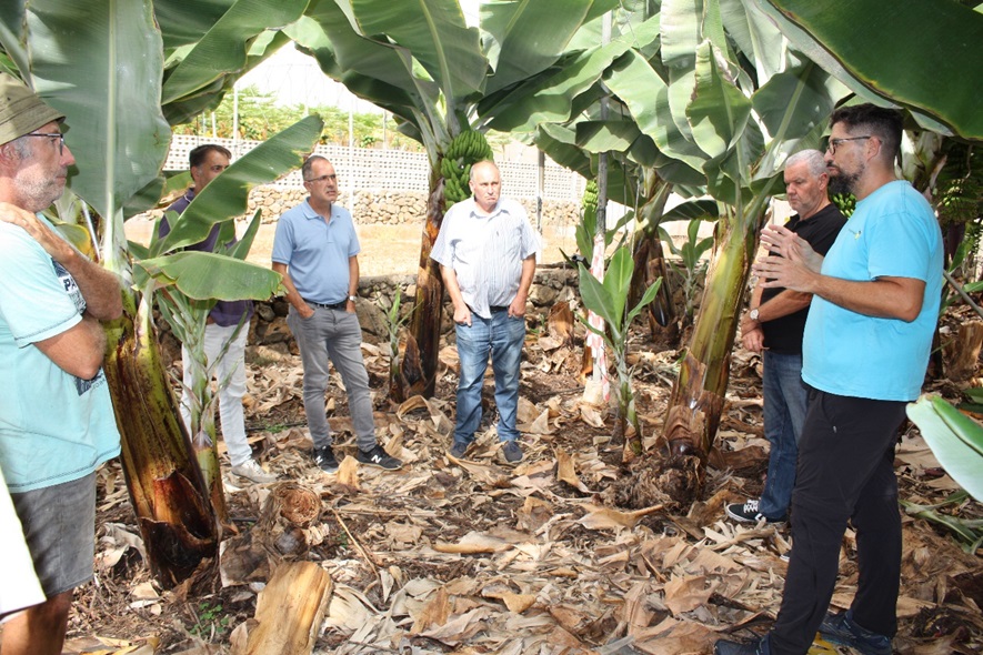 Celebración de la Jornada sobre control biológico de plagas