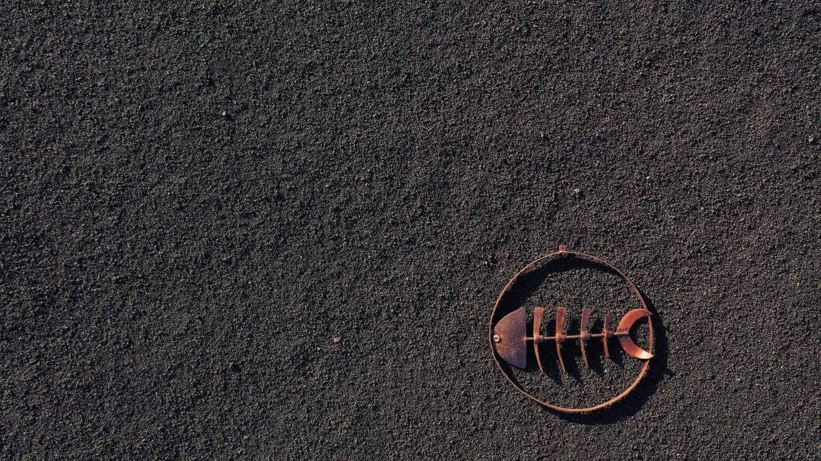 El Remo suma un nuevo símbolo de memoria, cultura y sostenibilidad ligado al Plan de Sostenibilidad Turística