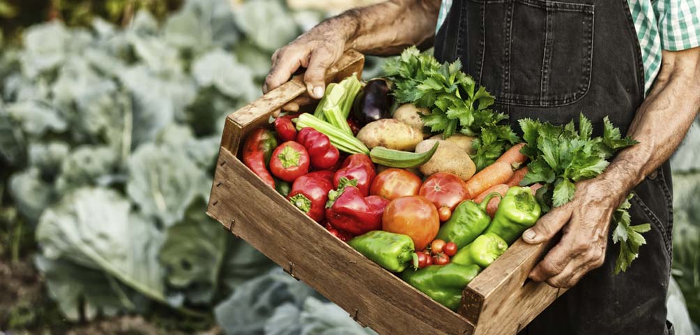 Lo nuestro sabe mejor: ayudas para llevar el producto local a los restaurantes
